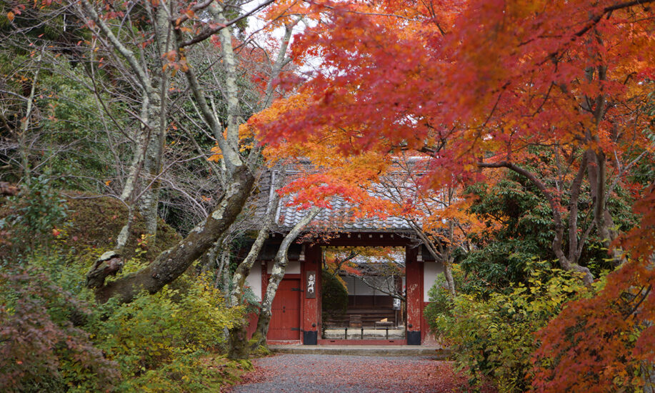 紅葉美しい京都の秋に寂光山 常照寺にて 「帯供養」を秋に初開催  参列者・供養対象の帯を募集します